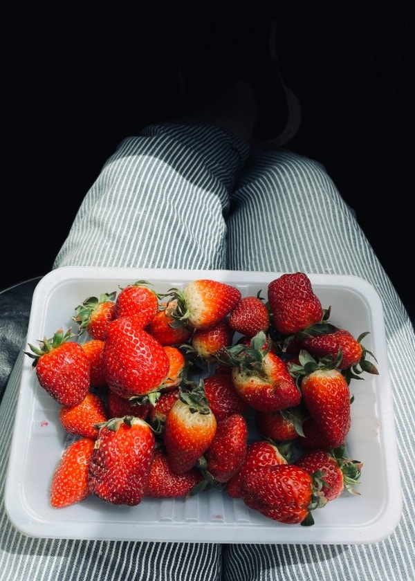 marjan-sadeghi-Rtki3c0n6f4-unsplash marjan-sadeghi-Rtki3c0n6f4-unsplash